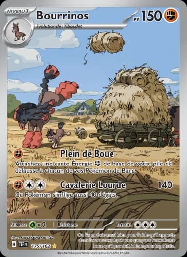 Carte Bourrinos