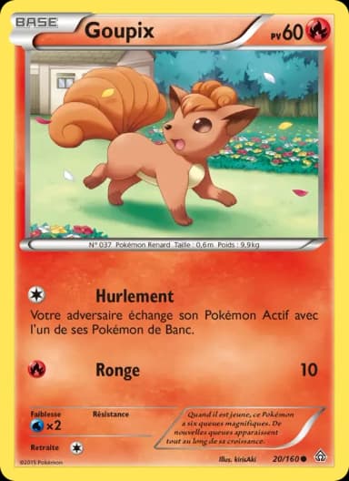 Carte Goupix