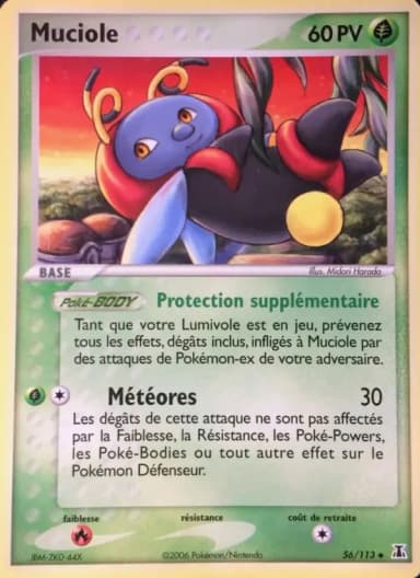 Carte Muciole