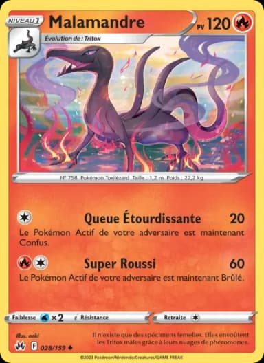 Carte Malamandre