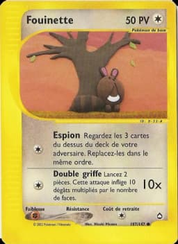 Carte Fouinette