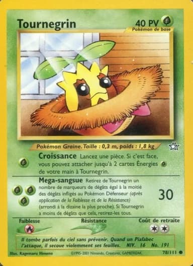 Carte Tournegrin