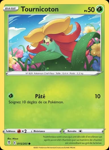 Carte Tournicoton