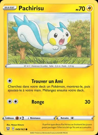 Carte Pachirisu