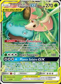 Carte Florizarre et Vipélierre GX