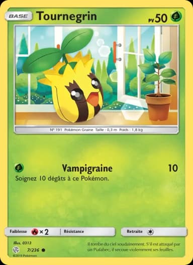Carte Tournegrin