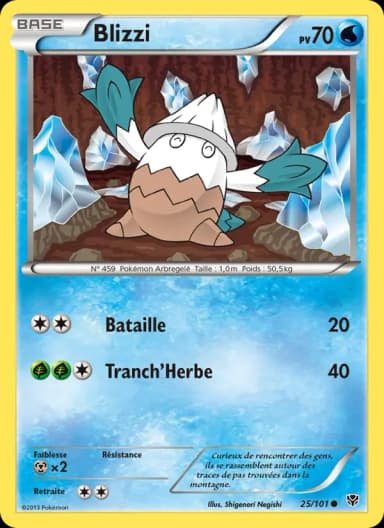 Carte Blizzi