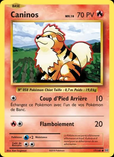 Carte Caninos