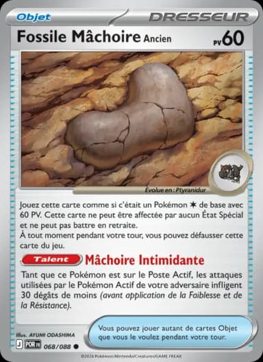 Carte Fossile Mâchoire Ancien
