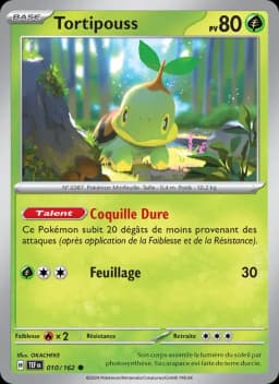 Carte Tortipouss