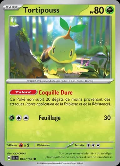 Carte Tortipouss