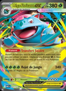 Carte Méga-Florizarre-ex