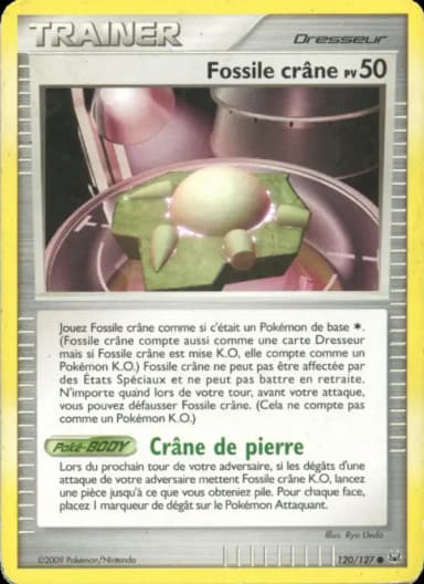 Carte Fossile crâne