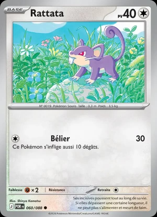 Carte Pokémon Rattata — Équilibre Parfait