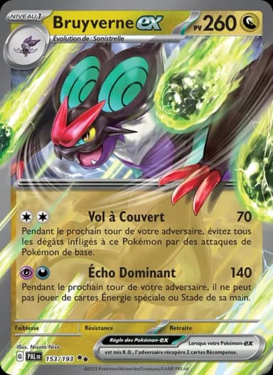 Carte Bruyverne-ex