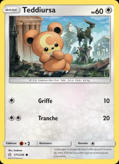 Carte Teddiursa