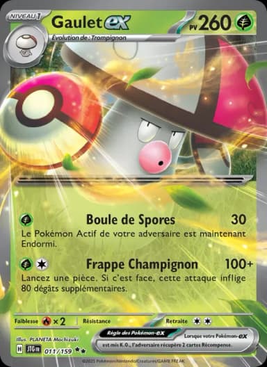 Carte Gaulet-ex