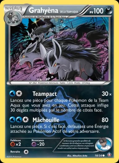 Carte Grahyèna de la Team Aqua