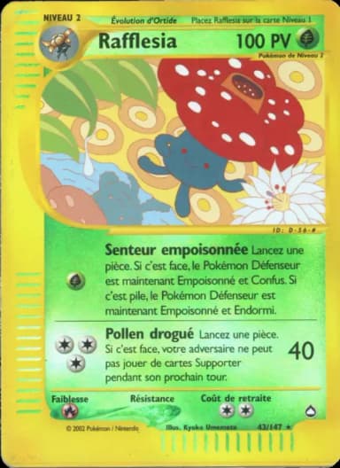 Carte Rafflesia