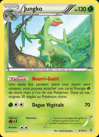 Carte Jungko