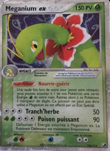 Carte Meganium ex