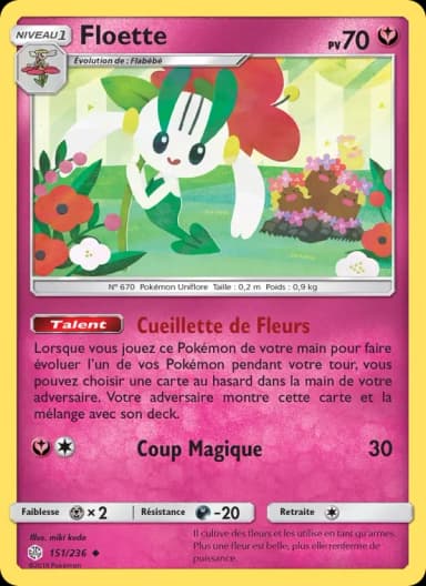 Carte Floette