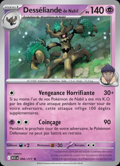 Carte Desséliande de Nabil