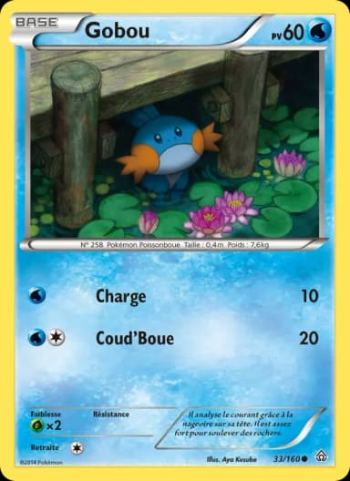 Carte Gobou