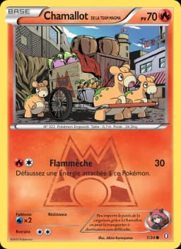 Carte Chamallot de la Team Magma