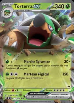 Carte Torterra-ex
